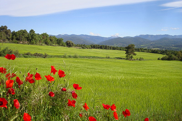 View of distant Pyrenees